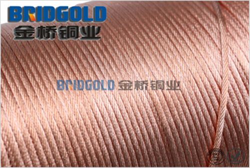 裸铜绞线每米重量1